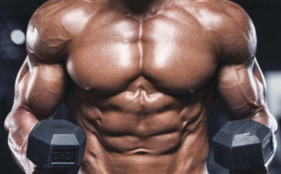 Jak sterydy sprawiają, że jesteś silniejszy • Najlepsze sterydy onlineNajlepsze sterydy online