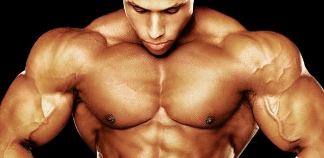 Deca Durabolin Cycle