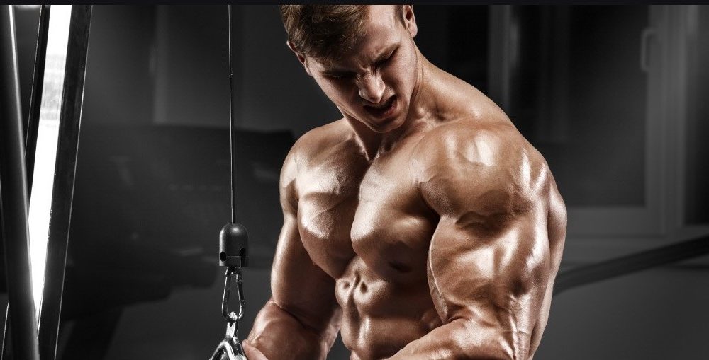 How To Increase Muscle Mass Fast in a Short Period?