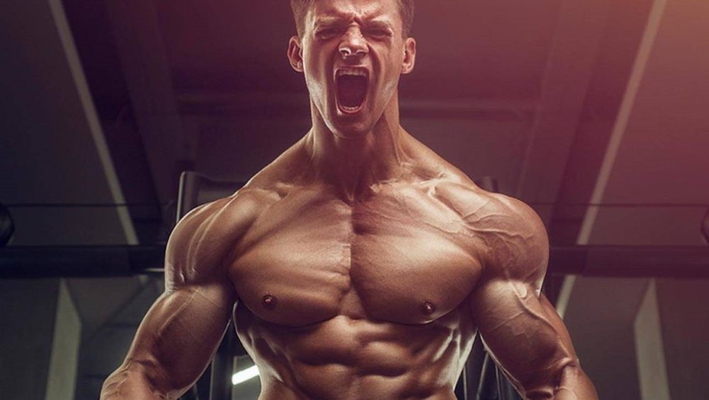 Best Steroid Stacks For Muscle Growth, Strength & Mass Gain